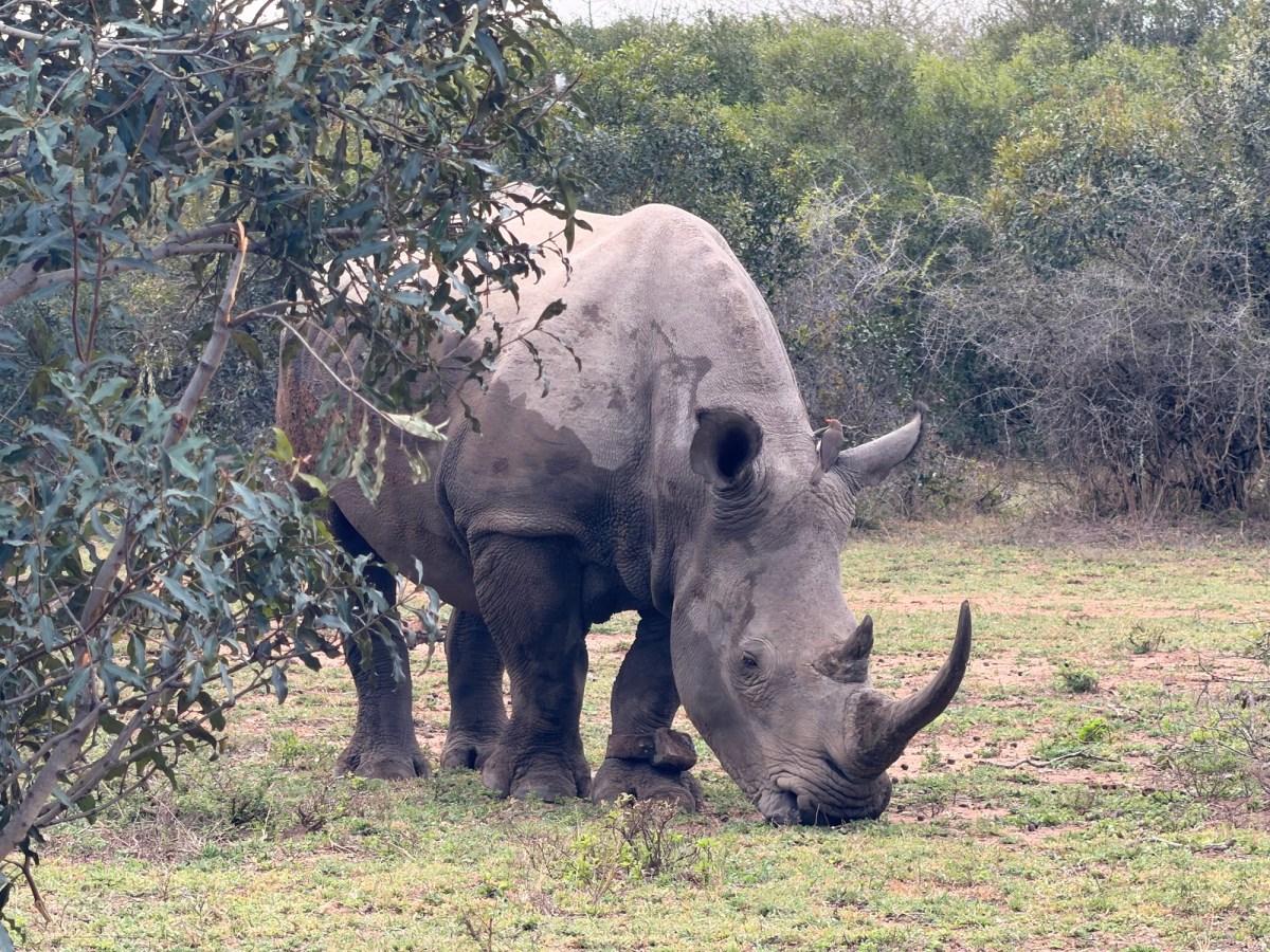 Eswatini: Cycling, Wildlife and sleeping in the&nbsp;Wild